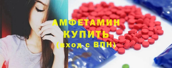 крисы Новозыбков