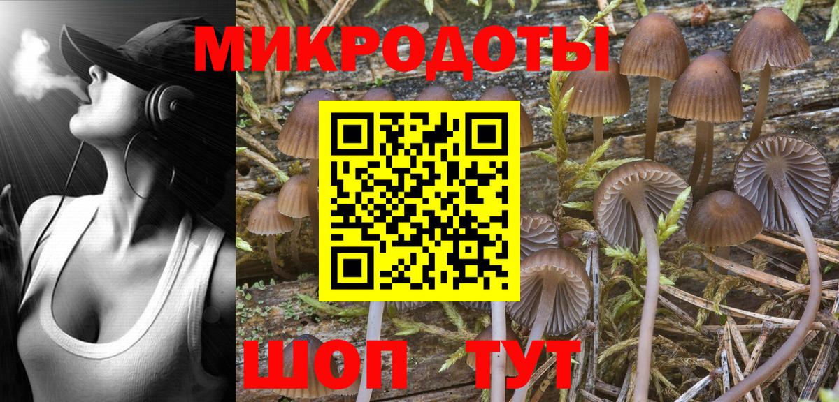 Галлюциногенные грибы Cubensis Сатка