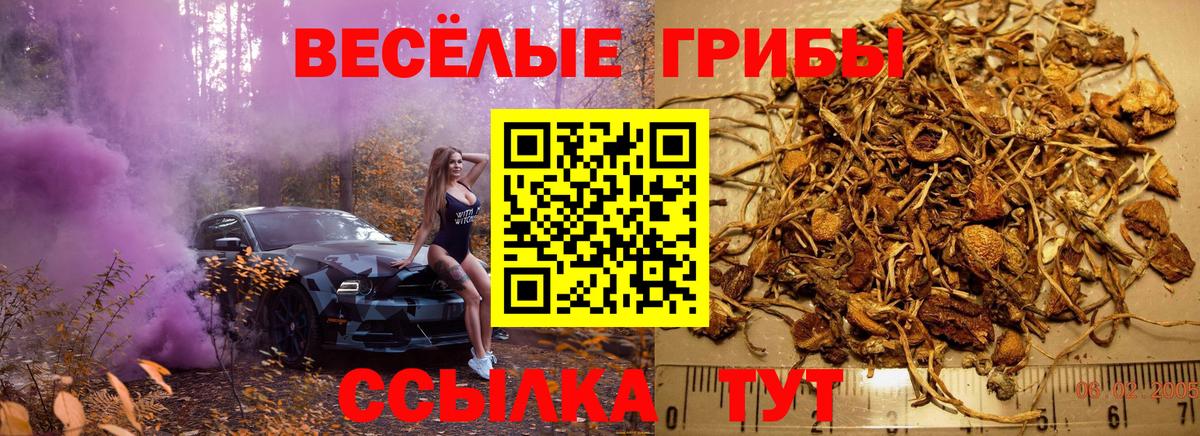 Галлюциногенные грибы мицелий  Вход с VPN  Псилоцибиновые грибы Psilocybe  Сатка 